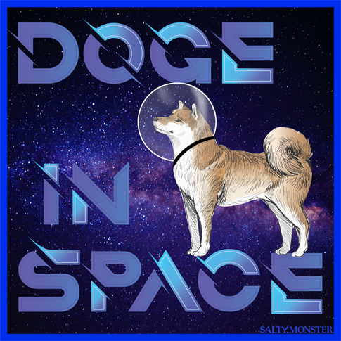 Doge Dogecoin Meme Crypto To the moon Diamond Hands Hold hodl Shiba Inu